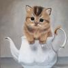 cat-in-chainik